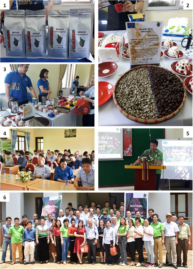 “BREEDCAFS-ending”-meeting-organized-in-Vietnam